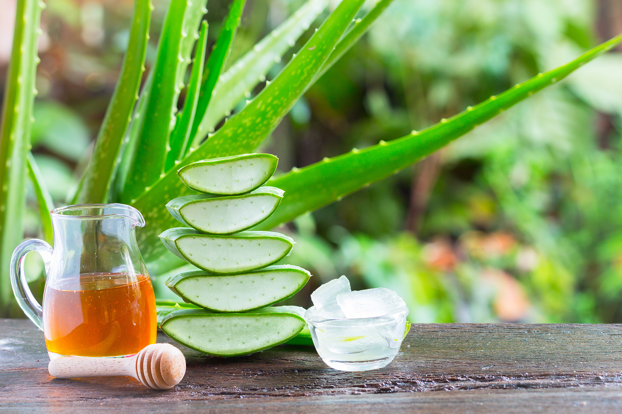 Aloe vera Fresh stacked with drop water and aloe vera juice in glass bowl with honey